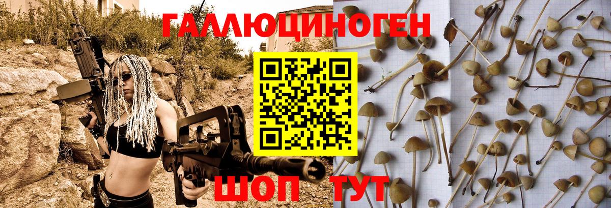 Галлюциногенные грибы Cubensis Алексеевка