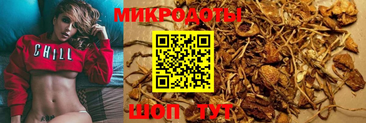 Алексеевка  Псилоцибиновые грибы прущие грибы  Псилоцибиновые грибы Cubensis  Вход с VPN 
